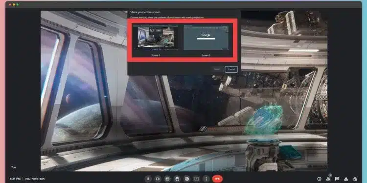 Google Meet Screen Sharing Options