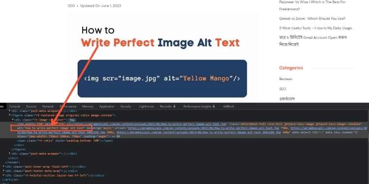 What does Image Alt Text look like