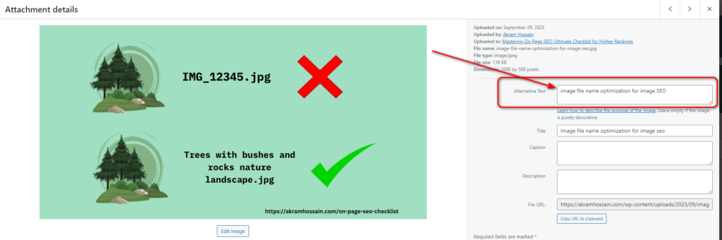 Image ALT Text Optimization Example with the backend of WP Dashboard